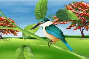 Illustration showing the kingfisher